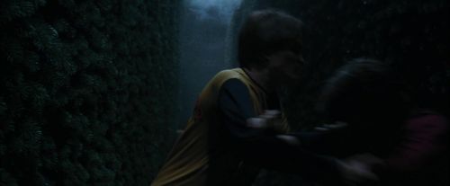 CdF-Potterish_7470.jpg