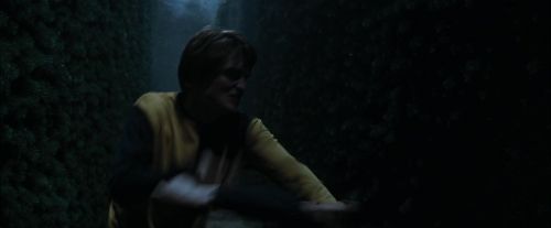 Click to view full size image
==============
CdF-Potterish_7471.jpg CdF-Potterish_7471.jpg