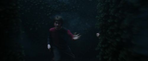 CdF-Potterish_7474.jpg