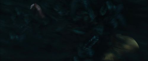 CdF-Potterish_7493.jpg
