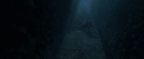 CdF-Potterish_7525.jpg