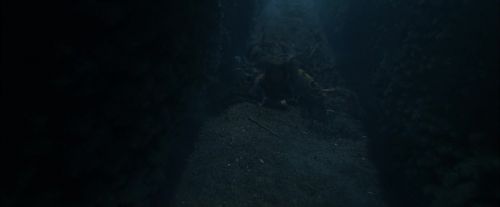 Click to view full size image
==============
CdF-Potterish_7526.jpg CdF-Potterish_7526.jpg