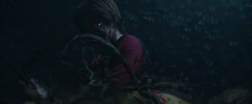 CdF-Potterish_7532.jpg