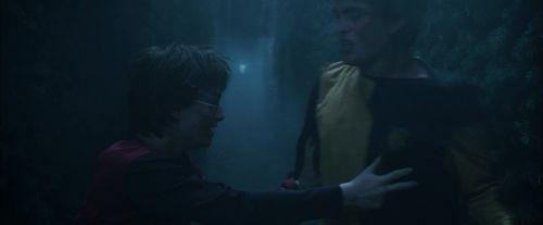CdF-Potterish_7538.jpg