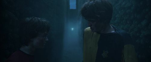 CdF-Potterish_7544.jpg