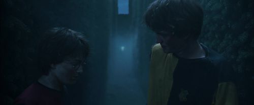 Click to view full size image
==============
CdF-Potterish_7545.jpg CdF-Potterish_7545.jpg