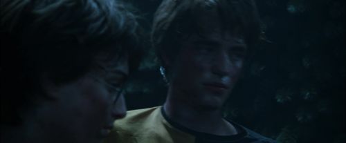 Click to view full size image
==============
CdF-Potterish_7557.jpg CdF-Potterish_7557.jpg