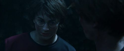 CdF-Potterish_7558.jpg