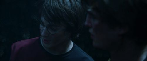 CdF-Potterish_7560.jpg