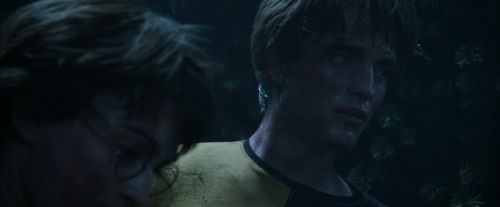 Click to view full size image
==============
CdF-Potterish_7561.jpg CdF-Potterish_7561.jpg