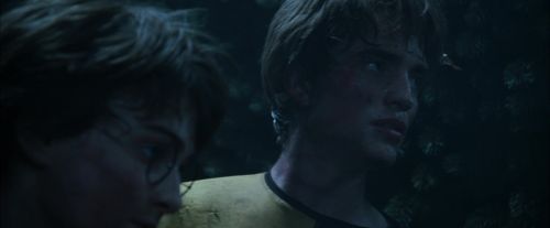 Click to view full size image
==============
CdF-Potterish_7562.jpg CdF-Potterish_7562.jpg