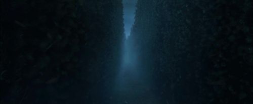 Click to view full size image
==============
CdF-Potterish_7565.jpg CdF-Potterish_7565.jpg