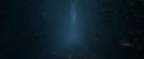 Click to view full size image
==============
CdF-Potterish_7568.jpg CdF-Potterish_7568.jpg