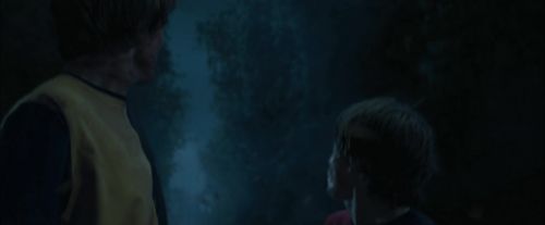 Click to view full size image
==============
CdF-Potterish_7583.jpg CdF-Potterish_7583.jpg