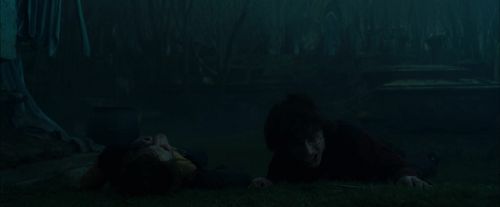 CdF-Potterish_7594.jpg