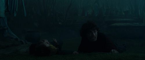 CdF-Potterish_7595.jpg