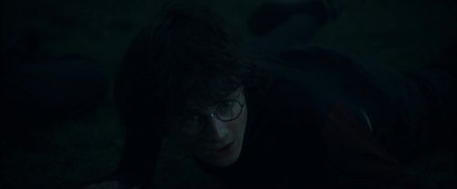 CdF-Potterish_7596.jpg