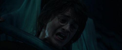 Click to view full size image
==============
CdF-Potterish_7713.jpg CdF-Potterish_7713.jpg