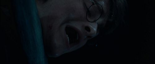 Click to view full size image
==============
CdF-Potterish_7727.jpg CdF-Potterish_7727.jpg