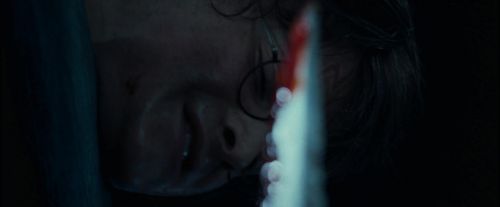 CdF-Potterish_7728.jpg