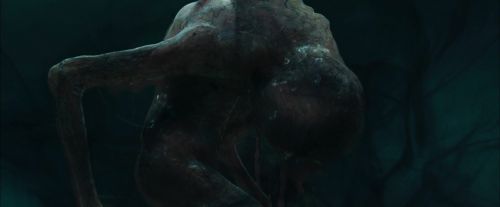 Click to view full size image
==============
CdF-Potterish_7757.jpg CdF-Potterish_7757.jpg