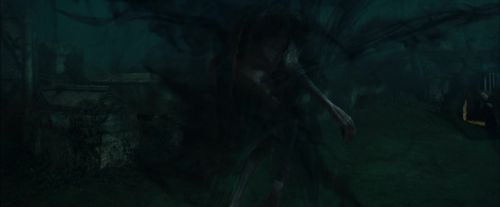 CdF-Potterish_7760.jpg