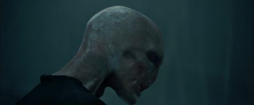 CdF-Potterish_7772.jpg