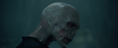 CdF-Potterish_7773.jpg