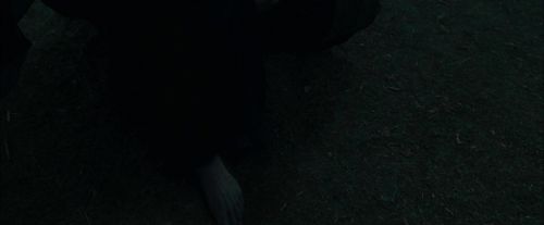 Click to view full size image
==============
CdF-Potterish_7793.jpg CdF-Potterish_7793.jpg