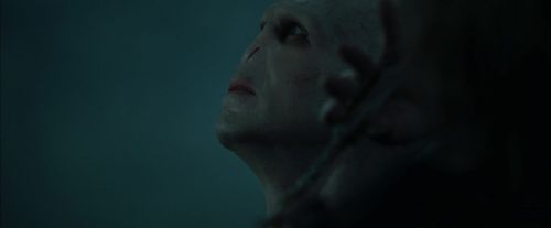 Click to view full size image
==============
CdF-Potterish_7847.jpg CdF-Potterish_7847.jpg