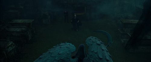CdF-Potterish_7857.jpg