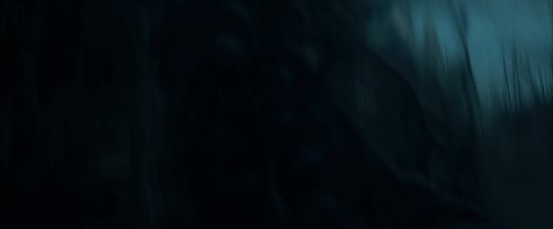 CdF-Potterish_7862.jpg