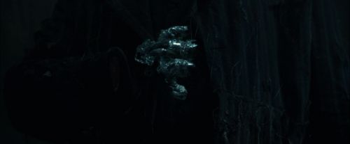 CdF-Potterish_7957.jpg