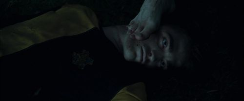 CdF-Potterish_7971.jpg