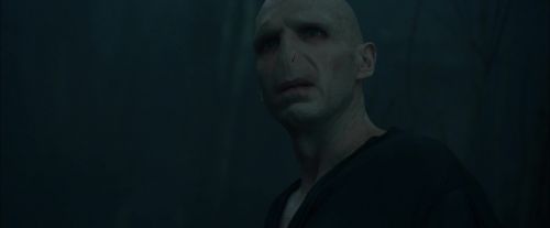 Click to view full size image
==============
CdF-Potterish_7973.jpg CdF-Potterish_7973.jpg