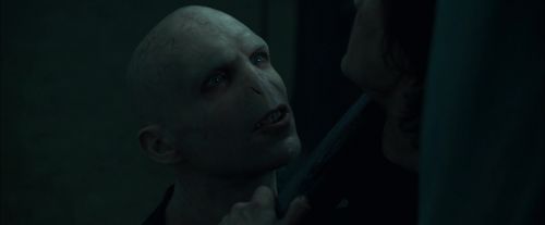 CdF-Potterish_7999.jpg