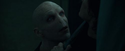 CdF-Potterish_8000.jpg