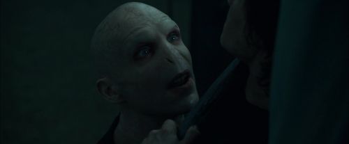 CdF-Potterish_8001.jpg