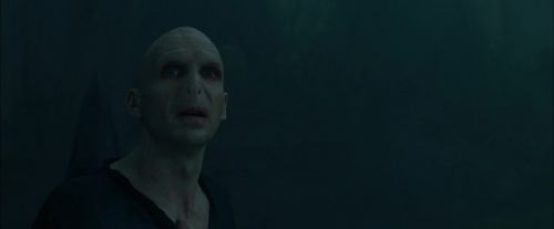 CdF-Potterish_8022.jpg