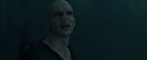CdF-Potterish_8025.jpg