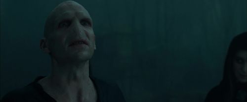 CdF-Potterish_8031.jpg