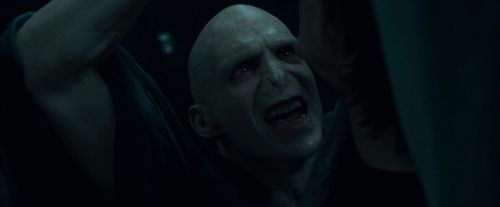 CdF-Potterish_8049.jpg