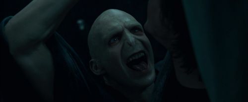 CdF-Potterish_8050.jpg