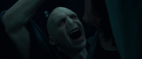 Click to view full size image
==============
CdF-Potterish_8051.jpg CdF-Potterish_8051.jpg