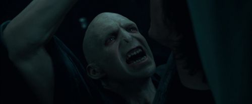 Click to view full size image
==============
CdF-Potterish_8052.jpg CdF-Potterish_8052.jpg