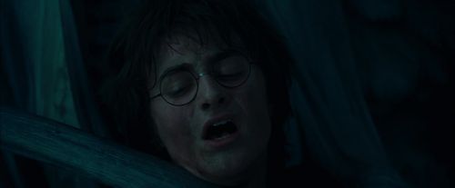 CdF-Potterish_8059.jpg