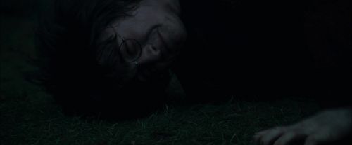 Click to view full size image
==============
CdF-Potterish_8098.jpg CdF-Potterish_8098.jpg