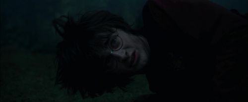 CdF-Potterish_8104.jpg