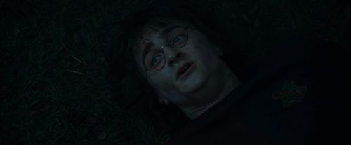 Click to view full size image
==============
CdF-Potterish_8115.jpg CdF-Potterish_8115.jpg