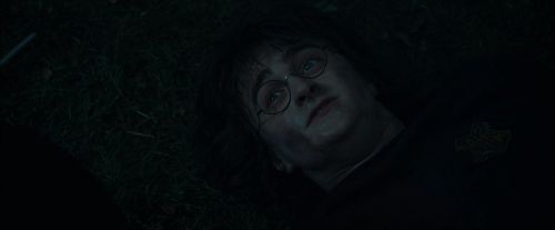 Click to view full size image
==============
CdF-Potterish_8119.jpg CdF-Potterish_8119.jpg